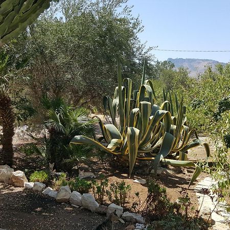 ולדריצ'ה Villa Alba מראה חיצוני תמונה