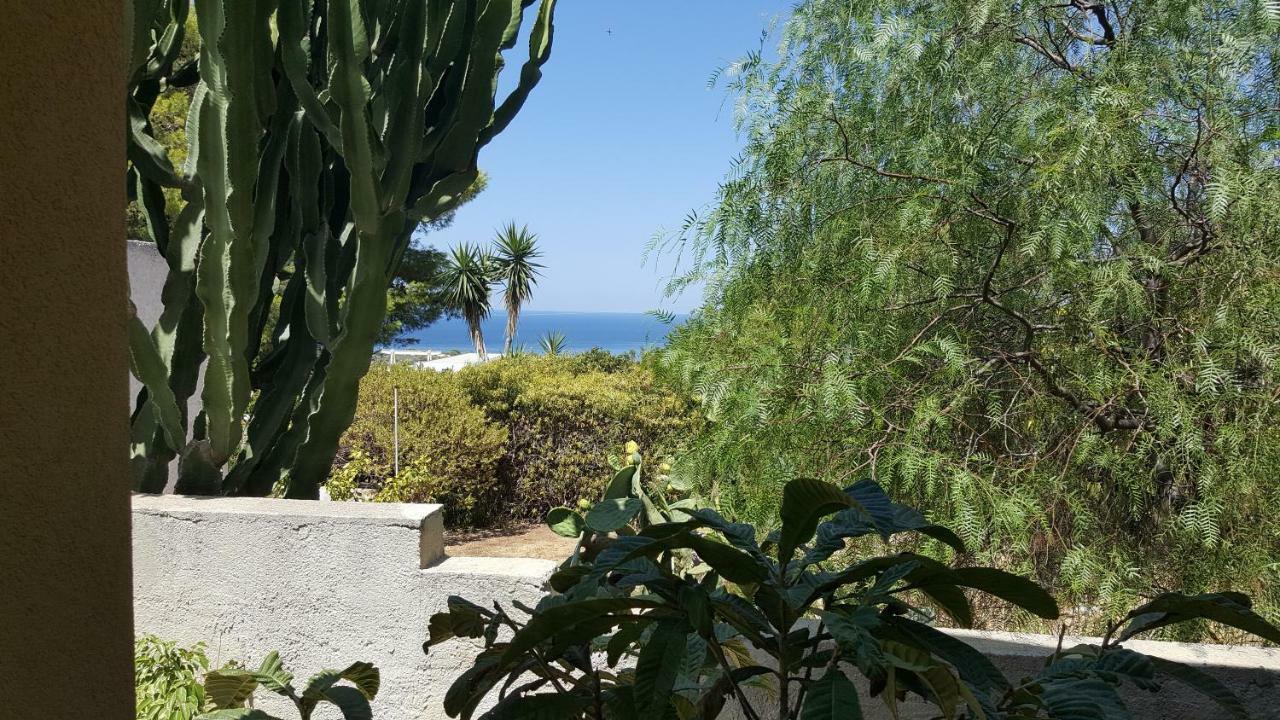 ולדריצ'ה Villa Alba מראה חיצוני תמונה