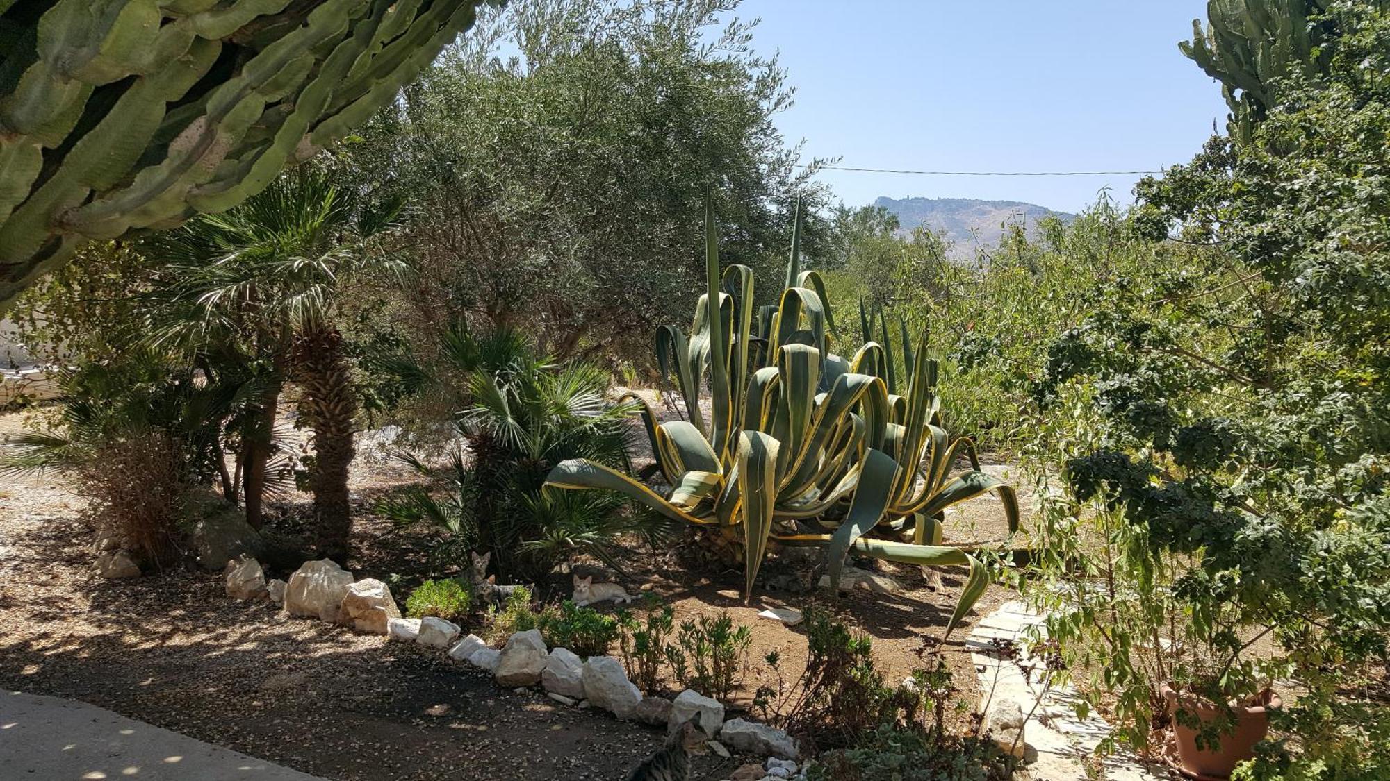 ולדריצ'ה Villa Alba מראה חיצוני תמונה